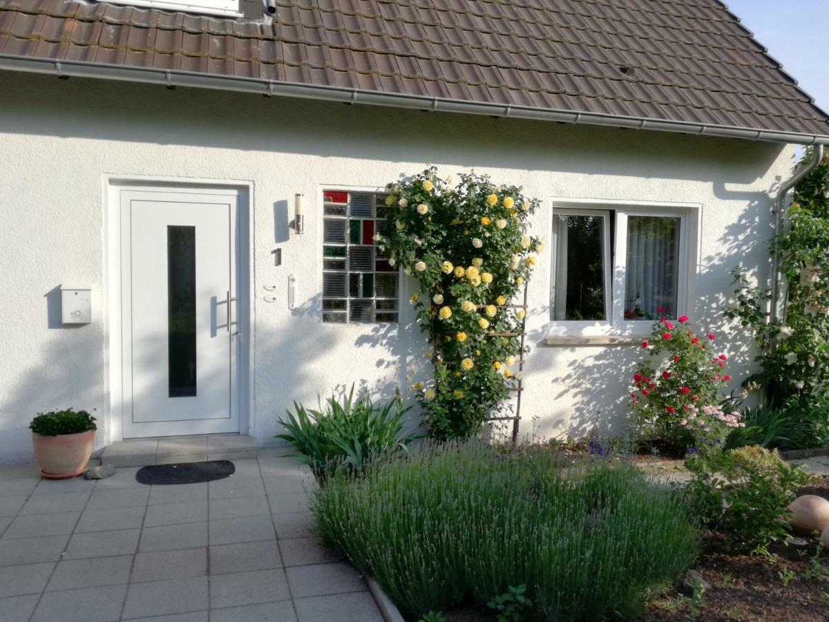 Ferien-Appartement Goldhausen Eksteriør billede